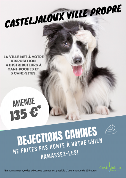 Affiches-dejections-canines